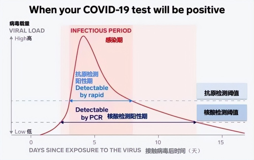 新冠陽了后，抗原需要天天做嗎？一看你就明白